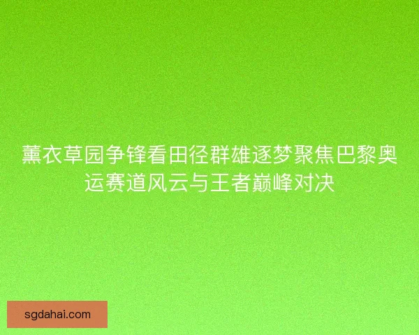 薰衣草园争锋看田径群雄逐梦聚焦巴黎奥运赛道风云与王者巅峰对决